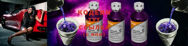 apvp Горняк