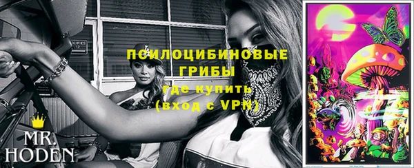 стаф Горно-Алтайск