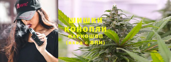 apvp Горняк